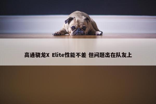 高通骁龙X Elite性能不差 但问题出在队友上