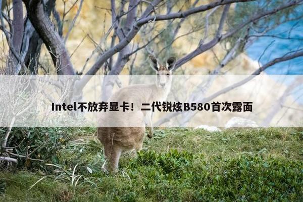 Intel不放弃显卡！二代锐炫B580首次露面