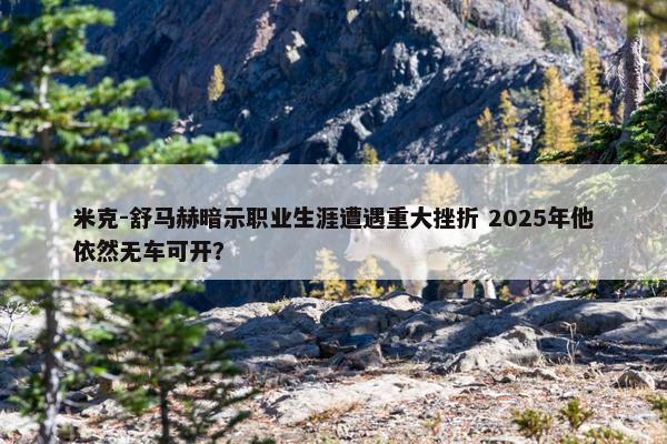 米克-舒马赫暗示职业生涯遭遇重大挫折 2025年他依然无车可开？