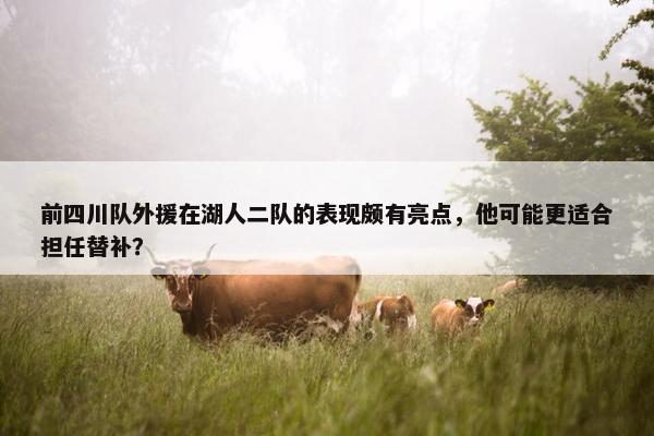 前四川队外援在湖人二队的表现颇有亮点，他可能更适合担任替补？