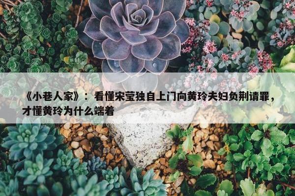 《小巷人家》：看懂宋莹独自上门向黄玲夫妇负荆请罪，才懂黄玲为什么端着