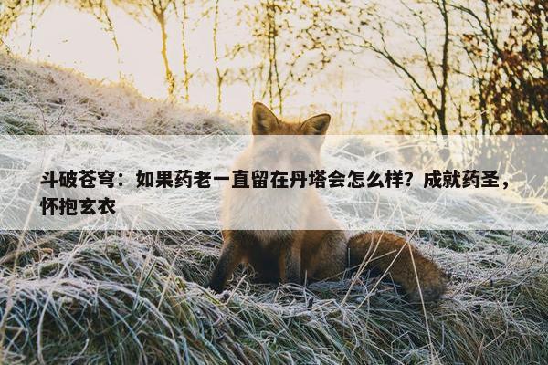 斗破苍穹：如果药老一直留在丹塔会怎么样？成就药圣，怀抱玄衣