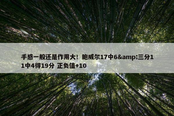 手感一般还是作用大！鲍威尔17中6&三分11中4得19分 正负值+10