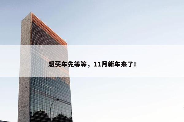 想买车先等等，11月新车来了！