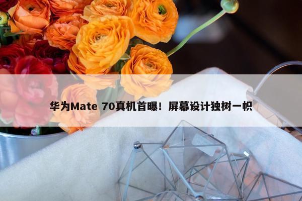 华为Mate 70真机首曝！屏幕设计独树一帜