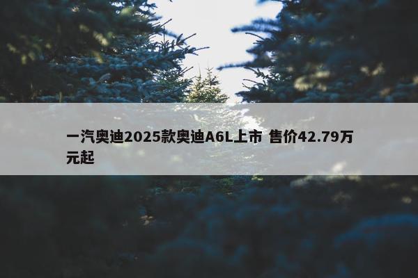 一汽奥迪2025款奥迪A6L上市 售价42.79万元起