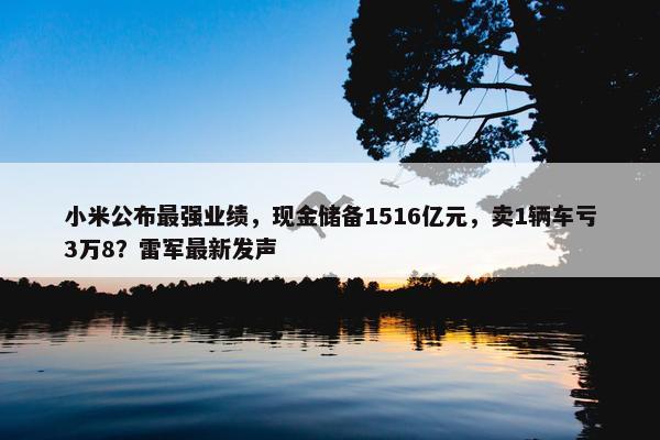 小米公布最强业绩，现金储备1516亿元，卖1辆车亏3万8？雷军最新发声