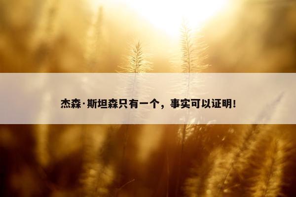 杰森·斯坦森只有一个，事实可以证明！