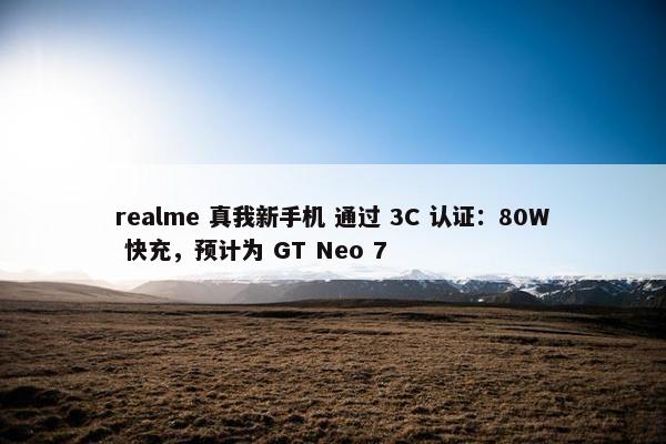 realme 真我新手机 通过 3C 认证：80W 快充，预计为 GT Neo 7