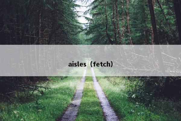 aisles（fetch）