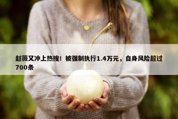 赵薇又冲上热搜！被强制执行1.4万元，自身风险超过700条