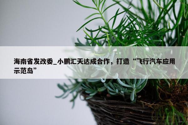 海南省发改委_小鹏汇天达成合作，打造“飞行汽车应用示范岛”