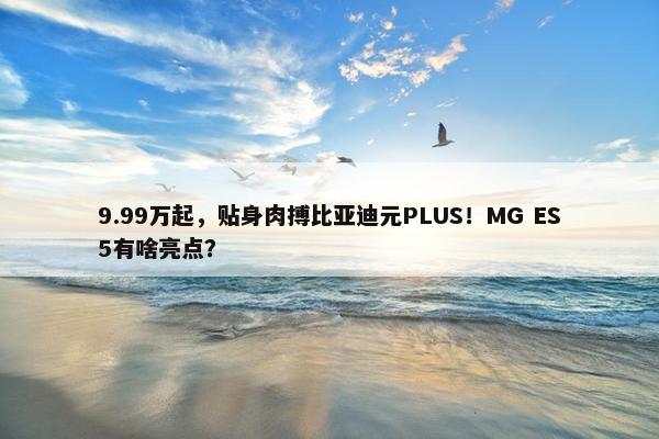 9.99万起，贴身肉搏比亚迪元PLUS！MG ES5有啥亮点？