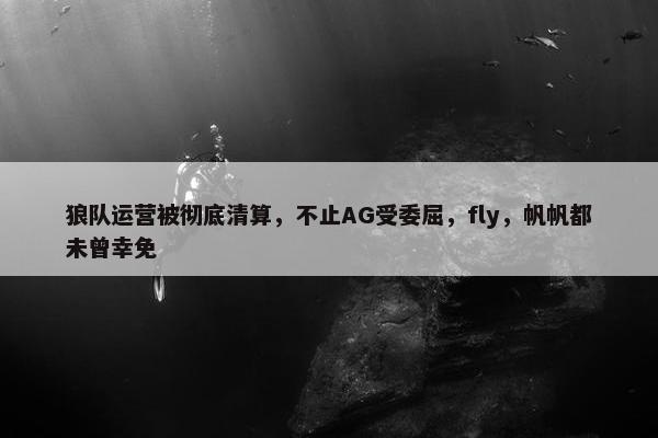 狼队运营被彻底清算，不止AG受委屈，fly，帆帆都未曾幸免