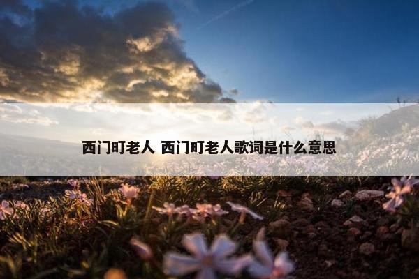 西门町老人 西门町老人歌词是什么意思