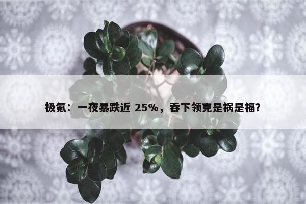 极氪：一夜暴跌近 25%，吞下领克是祸是福？