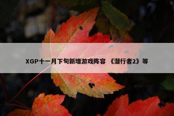 XGP十一月下旬新增游戏阵容 《潜行者2》等