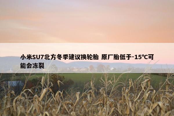 小米SU7北方冬季建议换轮胎 原厂胎低于-15℃可能会冻裂