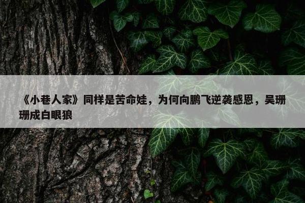 《小巷人家》同样是苦命娃，为何向鹏飞逆袭感恩，吴珊珊成白眼狼