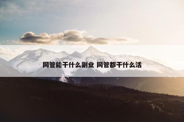 网管能干什么副业 网管都干什么活