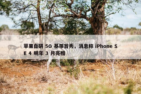 苹果自研 5G 基带首秀，消息称 iPhone SE 4 明年 3 月亮相