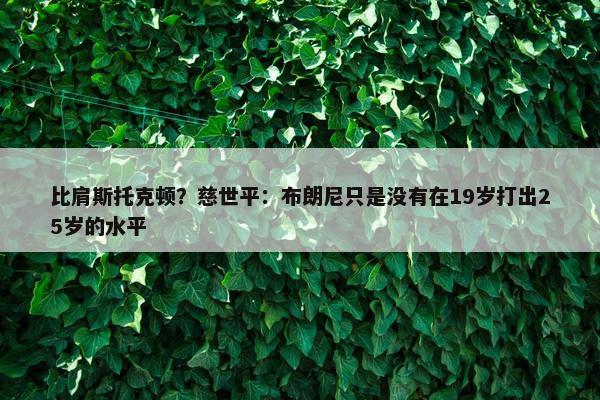 比肩斯托克顿？慈世平：布朗尼只是没有在19岁打出25岁的水平