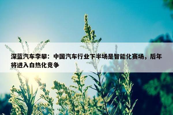 深蓝汽车李攀：中国汽车行业下半场是智能化赛场，后年将进入白热化竞争