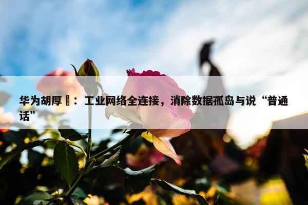 华为胡厚崑：工业网络全连接，消除数据孤岛与说“普通话”