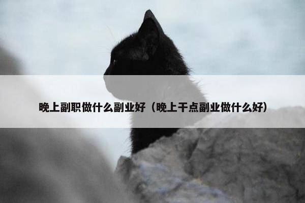 晚上副职做什么副业好（晚上干点副业做什么好）