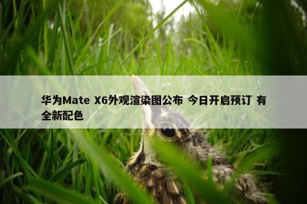 华为Mate X6外观渲染图公布 今日开启预订 有全新配色