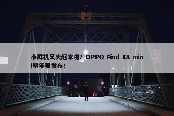 小屏机又火起来啦？OPPO Find X8 mini明年要发布！