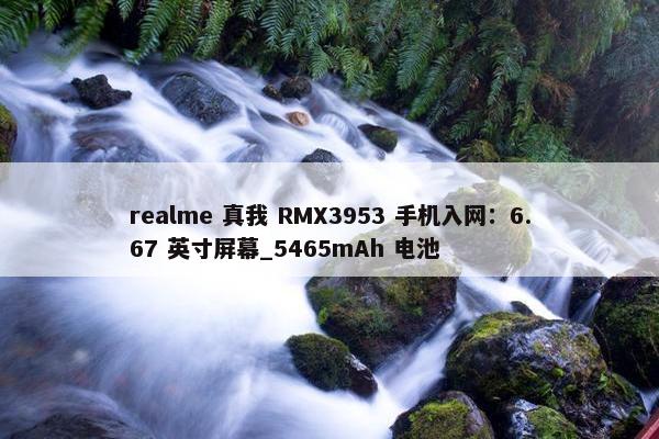 realme 真我 RMX3953 手机入网：6.67 英寸屏幕_5465mAh 电池