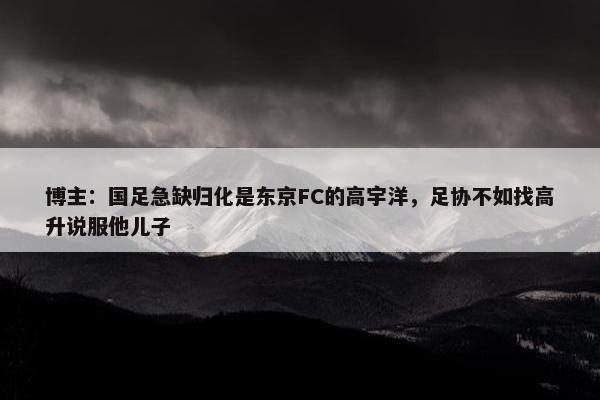 博主：国足急缺归化是东京FC的高宇洋，足协不如找高升说服他儿子