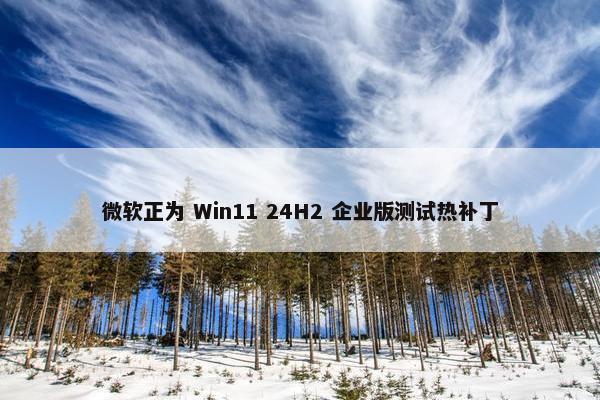 微软正为 Win11 24H2 企业版测试热补丁