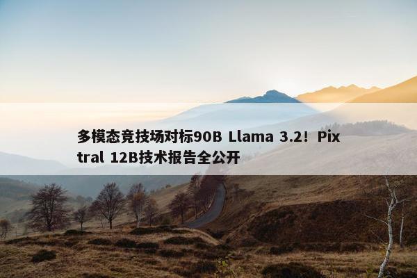 多模态竞技场对标90B Llama 3.2！Pixtral 12B技术报告全公开