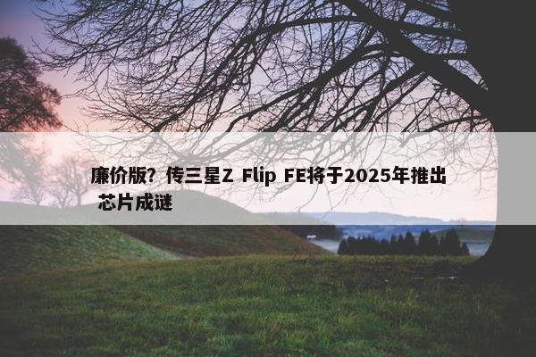 廉价版？传三星Z Flip FE将于2025年推出 芯片成谜