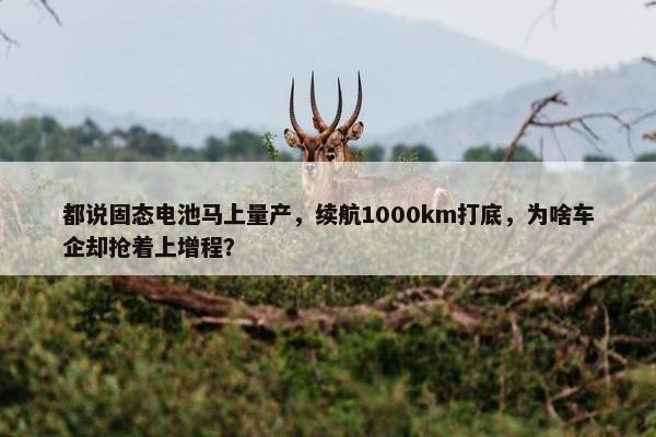 都说固态电池马上量产，续航1000km打底，为啥车企却抢着上增程？