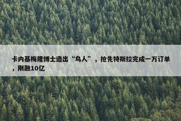 卡内基梅隆博士造出“鸟人”，抢先特斯拉完成一万订单，刚融10亿