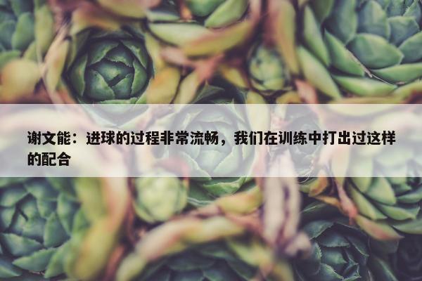 谢文能：进球的过程非常流畅，我们在训练中打出过这样的配合