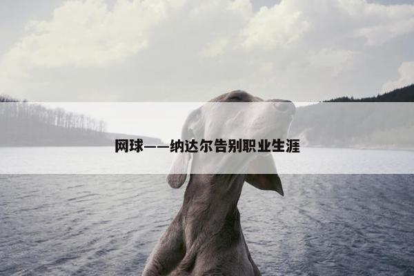 网球——纳达尔告别职业生涯