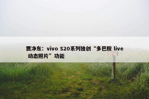 贾净东：vivo S20系列独创“多巴胺 live 动态照片”功能