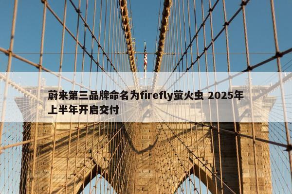 蔚来第三品牌命名为firefly萤火虫 2025年上半年开启交付