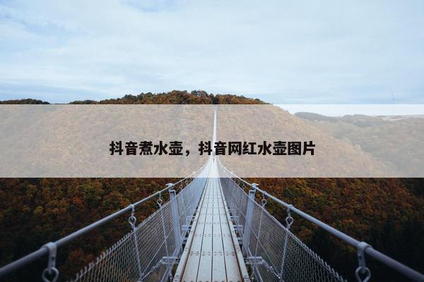 抖音煮水壶，抖音网红水壶图片