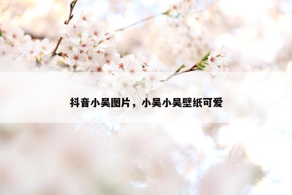 抖音小吴图片，小吴小吴壁纸可爱