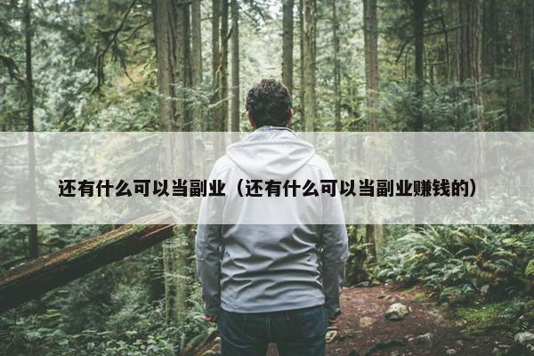 还有什么可以当副业（还有什么可以当副业赚钱的）