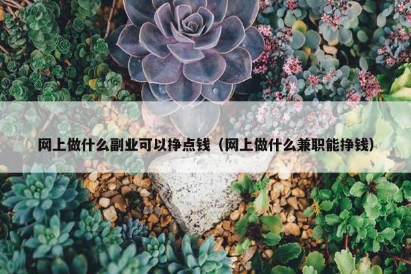 网上做什么副业可以挣点钱（网上做什么兼职能挣钱）