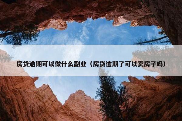 房贷逾期可以做什么副业（房贷逾期了可以卖房子吗）