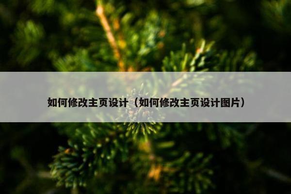 如何修改主页设计（如何修改主页设计图片）