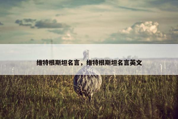 维特根斯坦名言，维特根斯坦名言英文