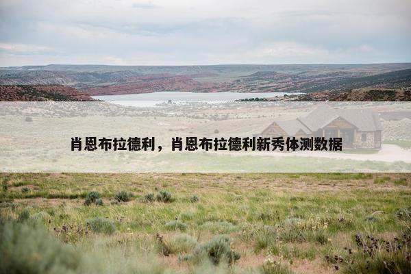 肖恩布拉德利，肖恩布拉德利新秀体测数据